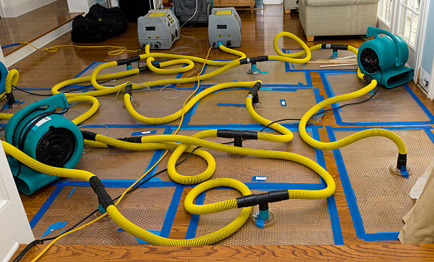 Professional Water Extraction technician working in Belleville, WI